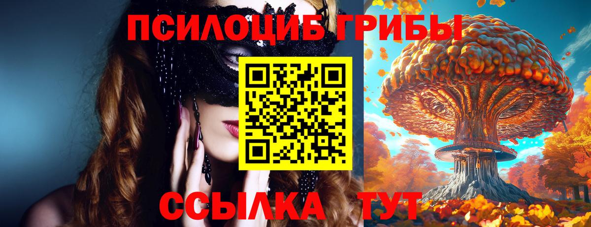 Галлюциногенные грибы прущие грибы Заречный